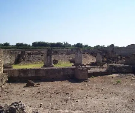 Societa Agricola Mg Florplant Agroturismo Francavilla Marittima