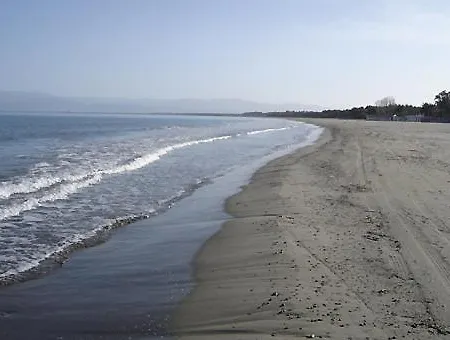 Societa Agricola Mg Florplant Francavilla Marittima