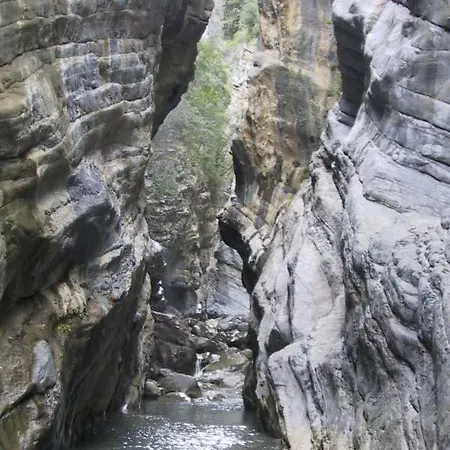 ファームステイ Societa Agricola Mg Florplant Francavilla Marittima