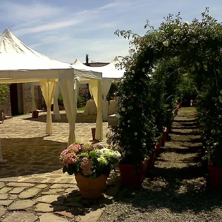 Societa Agricola Mg Florplant Agroturismo Francavilla Marittima