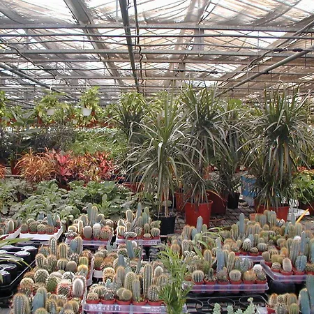 Societa Agricola Mg Florplant ファームステイ