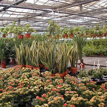 ファームステイ Societa Agricola Mg Florplant