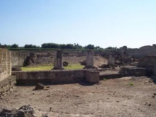 Societa Agricola Mg Florplant 农家乐 弗拉克维尔玛拉汀