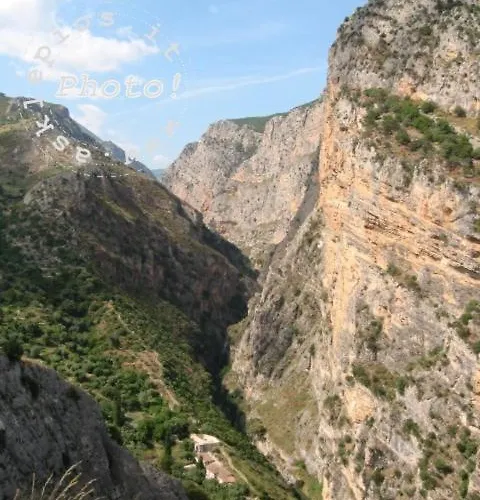 Societa Agricola Mg Florplant 弗拉克维尔玛拉汀