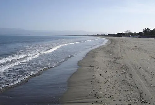 Societa Agricola Mg Florplant 弗拉克维尔玛拉汀