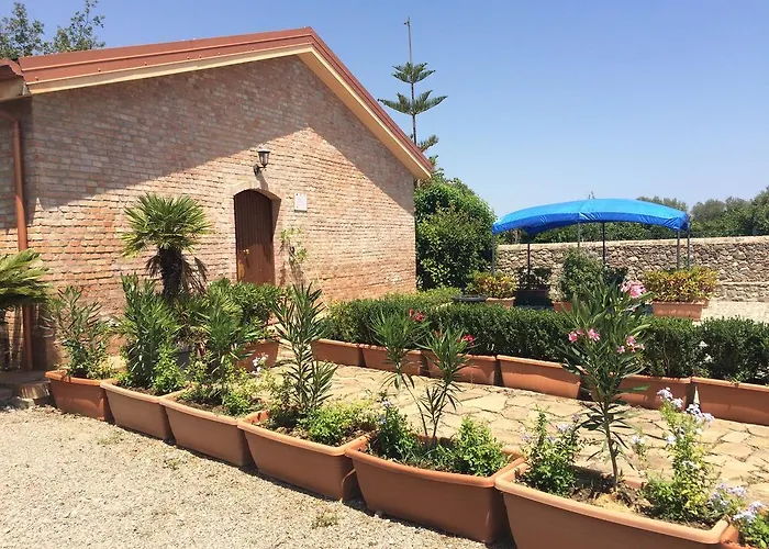 Societa Agricola Mg Florplant *