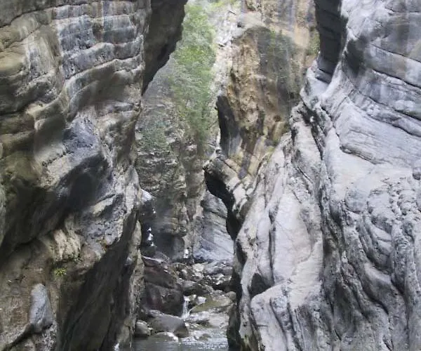 农家乐 Societa Agricola Mg Florplant 弗拉克维尔玛拉汀