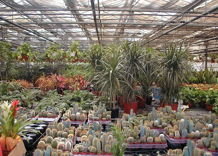 Societa Agricola Mg Florplant 农家乐