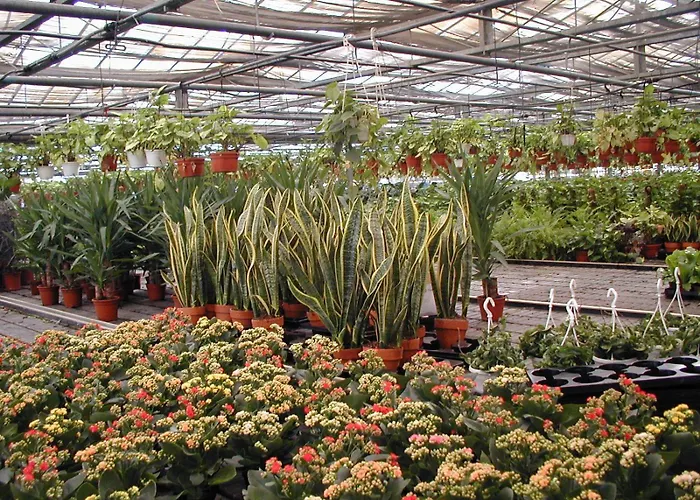 农家乐 Societa Agricola Mg Florplant